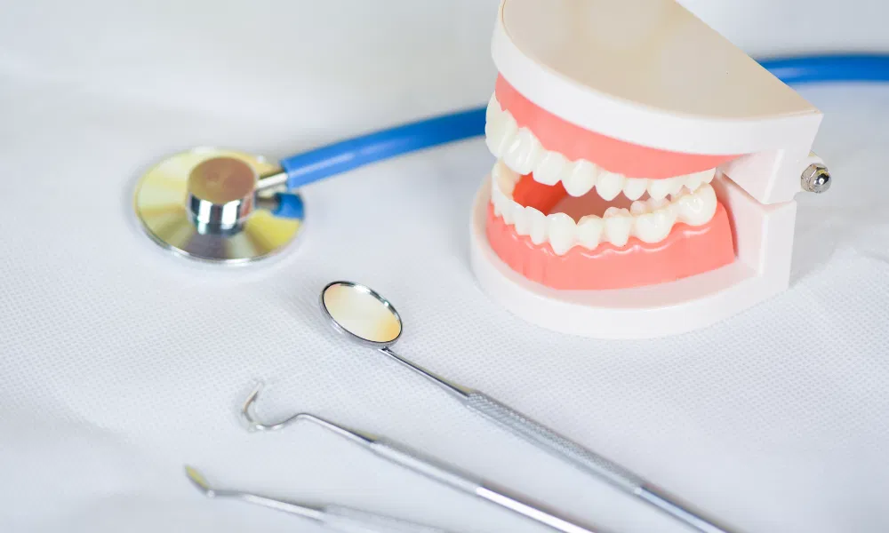 Dental Tools and Teeth Model - Serenity Valley Family Dentistry