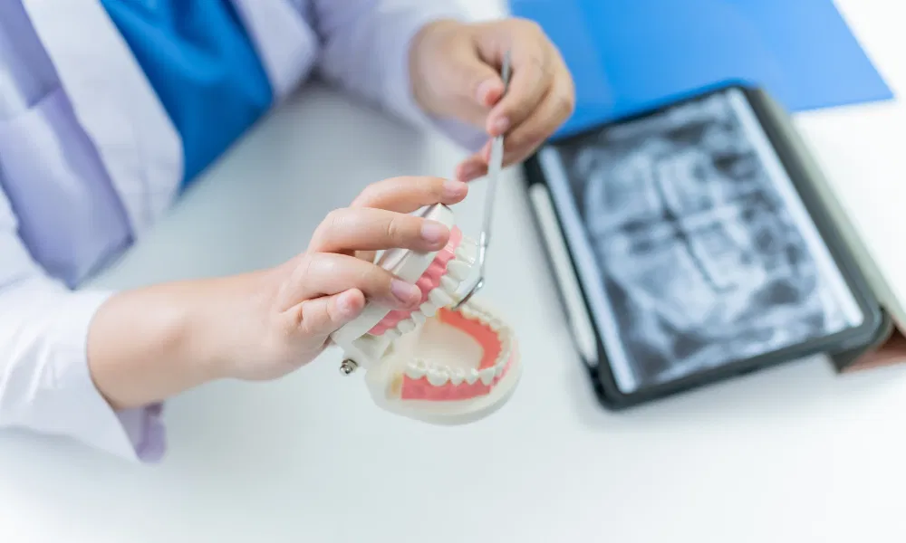 Dentist Explaining Teeth Model with X Ray - Serenity Valley Family Dentistry